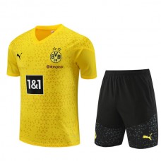 Barn BVB Borussia Dortmund Träningströja Ställ 2023-24 - Shorts Yelow