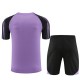Barn Paris Saint Germain PSG Träningströja Ställ 2023-24 - Shorts Lila
