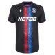 Crystal Palace Matchtröja Tredje 2024-2025