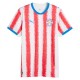 Paraguay Hemmatröja VM 2026
